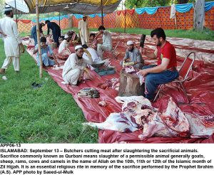 APP06-13 ISLAMABAD: September 13  Butchers cutting meat after slaughtering the sacrificial animals. Sacrifice commonly known as Qurbani means slaughter of a permissible animal generally goats, sheep, rams, cows and camels in the name of Allah on the 10th, 11th or 12th of the Islamic month of Zil Hijjah. It is an essential religious rite in memory of the sacrifice performed by the Prophet Ibrahim (A.S). APP photo by Saeed-ul-Mulk