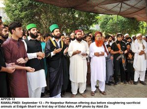 APP28-13 RAWALPINDI: September 13  Pir Naqeebur Rehman offering dua before slaughtering sacrificial animals at Eidgah Sharif on first day of Eidul Azha. APP photo by Abid Zia