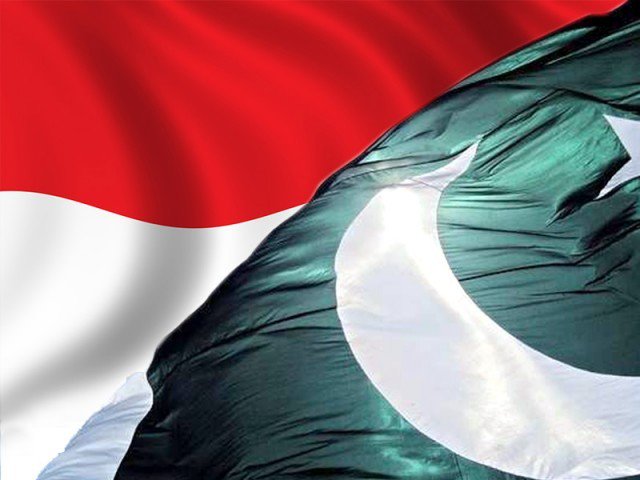 انڈونیشیا نے آم اور ڈینم سمیت 20 پاکستانی